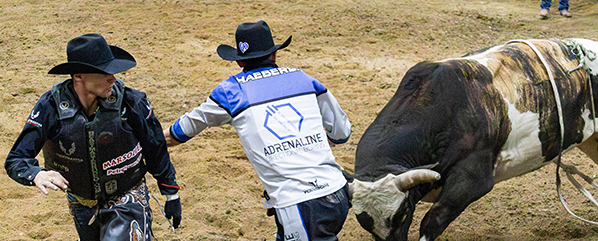 Bull riding brings thrills in Spiritwood Bull riding brings thrills in Spiritwood
